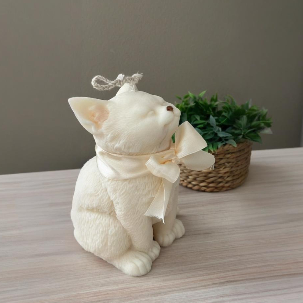 Smile Cat Silicone Mold for DI - Soap Making Instructions review and price